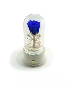 Blue Eternal Rose Bluetooth Speaker 