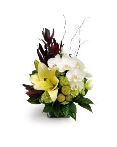 Elegant Lilies flower arrangement